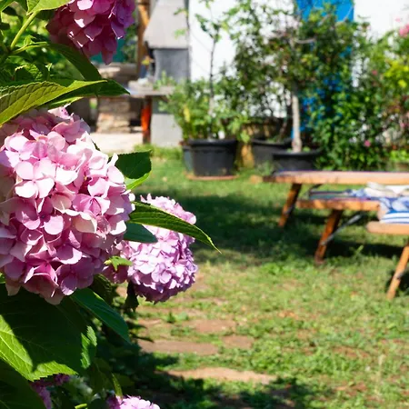 Pri Milanu Savudrija